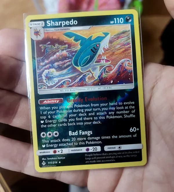 Sharpedo 2019 reverse holo image 3