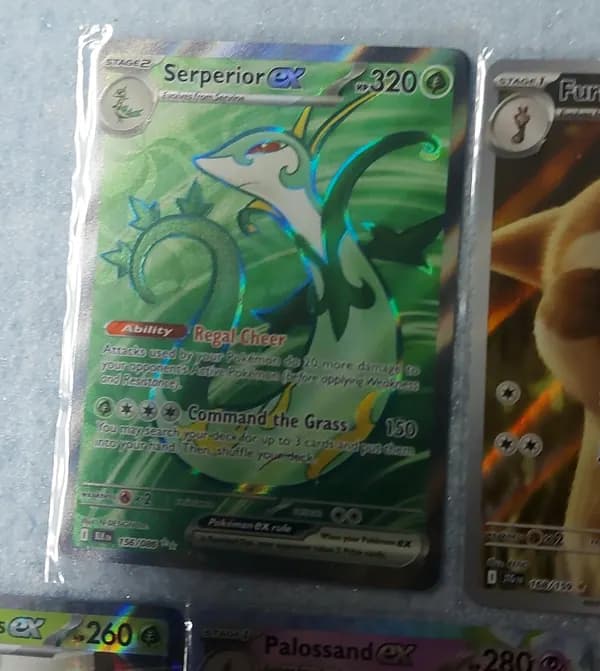 Furret IR pokemon lot image 5