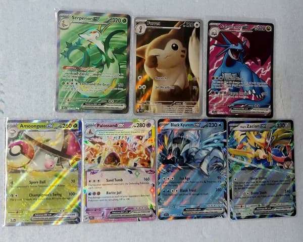 Furret IR pokemon lot