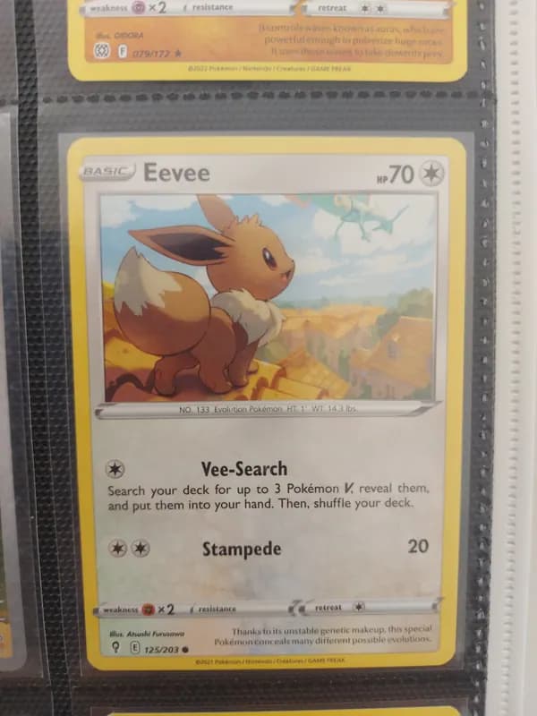 Rayquaza and eevee lot