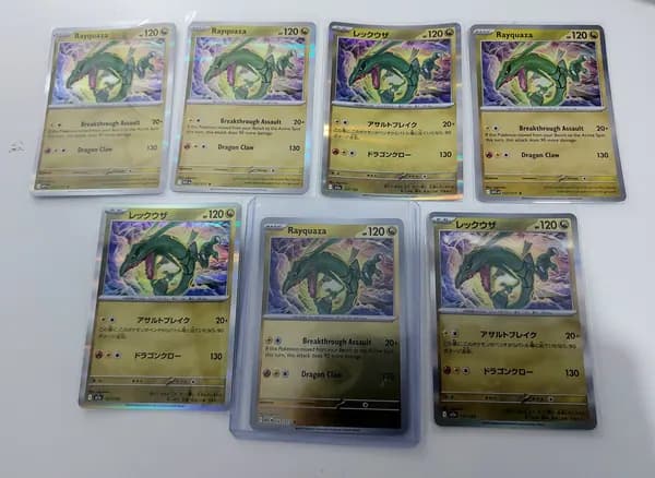 🐛Rayquaza lot
