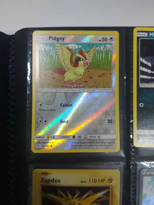 ⚡️❄️The Legendary birds: Zaptos, Articuno image 6