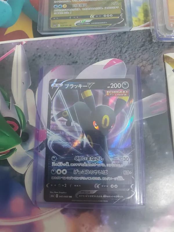 🔥Umbreon bundle: Sealed & Singles image 2